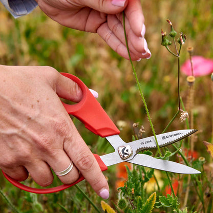 A person using Corona ComforGel floral scissors to cut a red flower in a field of wildflowers
