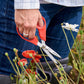 A person using Corona ComforGel floral scissors to cut a red flower in a field of wildflowers