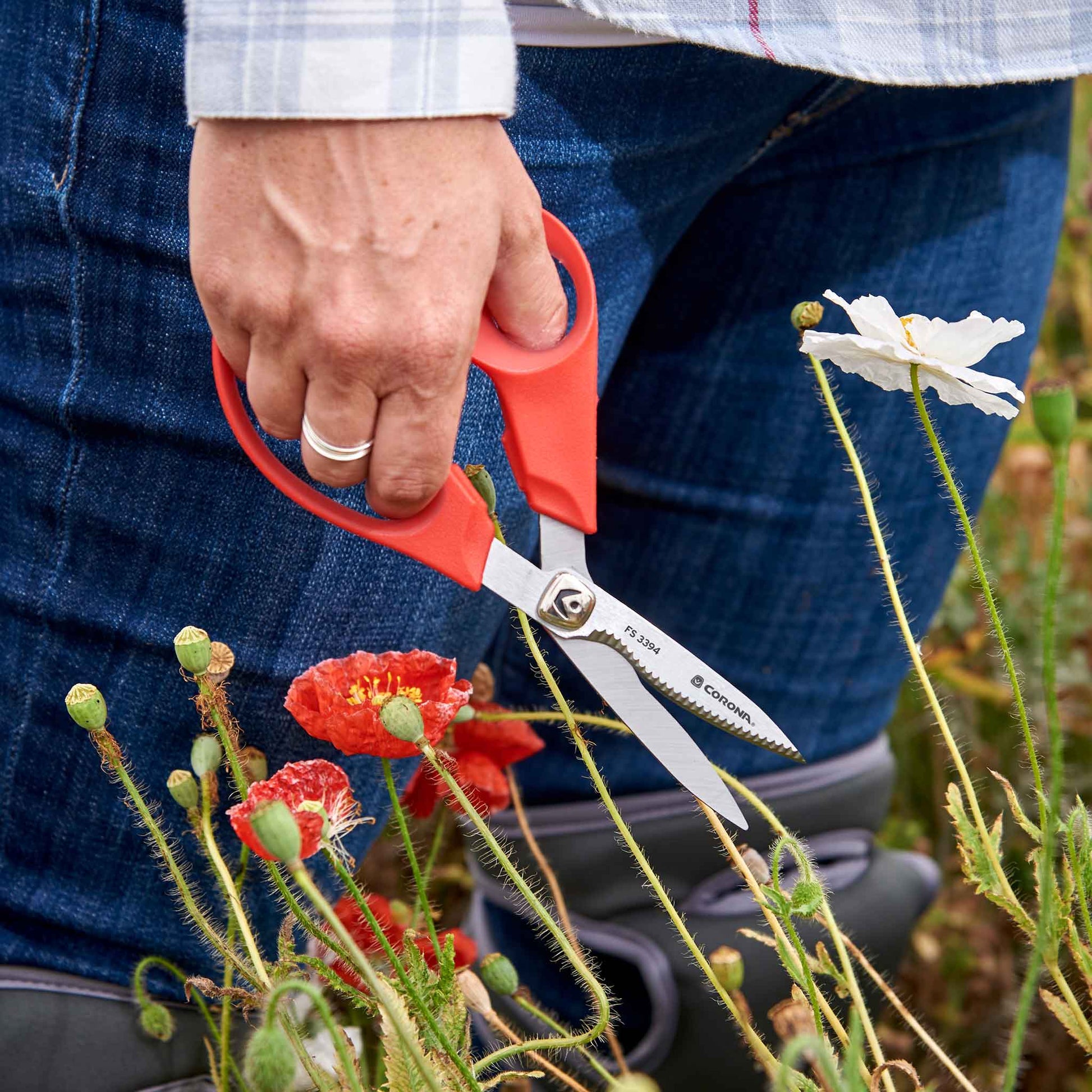 A person using Corona ComforGel floral scissors to cut a red flower in a field of wildflowers