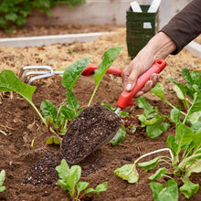 Person gardening with a red handled corona comfortgel scoop in a garden bed with plants and soil.
