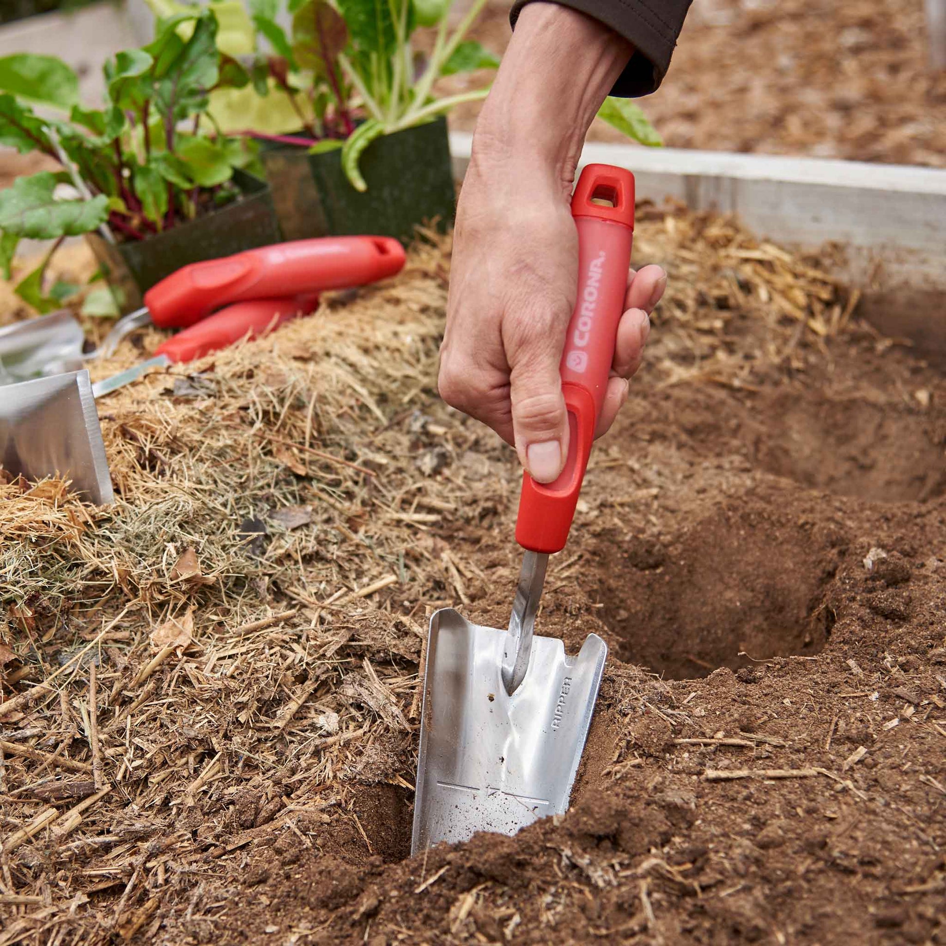 Hand using a red-handled corona comfortgel trow to dig into soil in a raised bed.