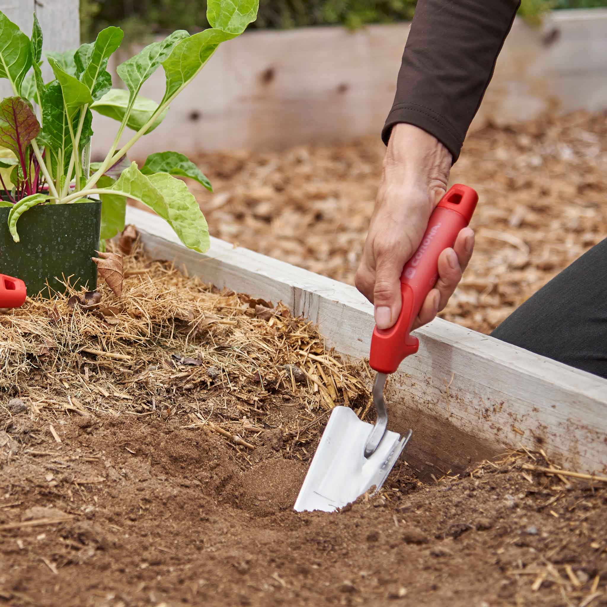 Hand using a red-handled corona comfortgel trow to dig into soil in a raised bed.