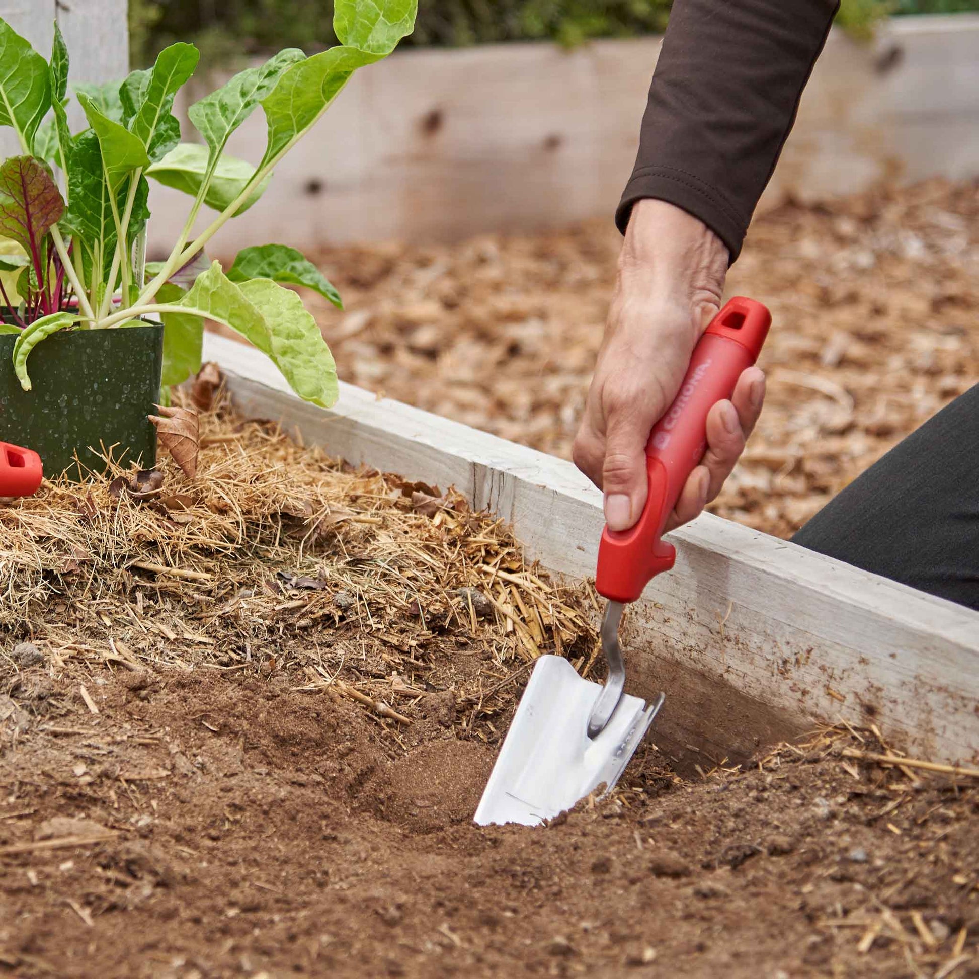 Hand using a red-handled corona comfortgel trow to dig into soil in a raised bed.