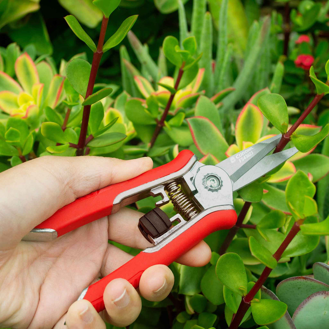 Corona Mini Floral Snips | Eden Brothers