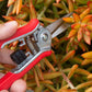 A person using Corona ComfortGel Mini Floral Snips against a plant background