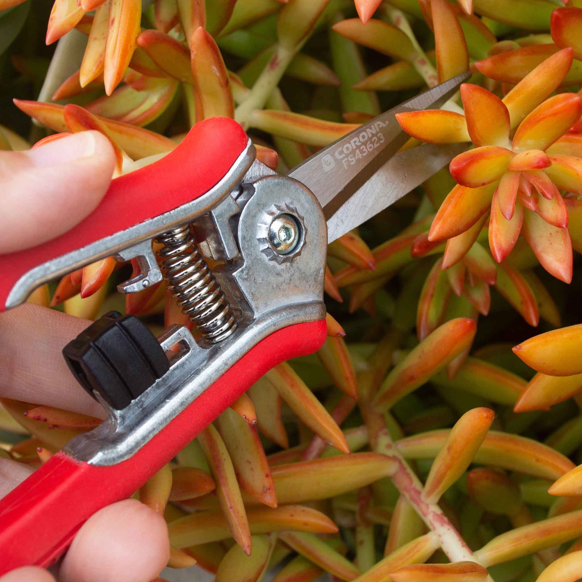 A person using Corona ComfortGel Mini Floral Snips against a plant background