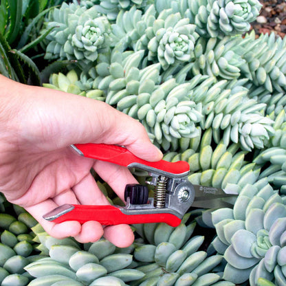 A person using Corona ComfortGel Mini Floral Snips against a green plant background