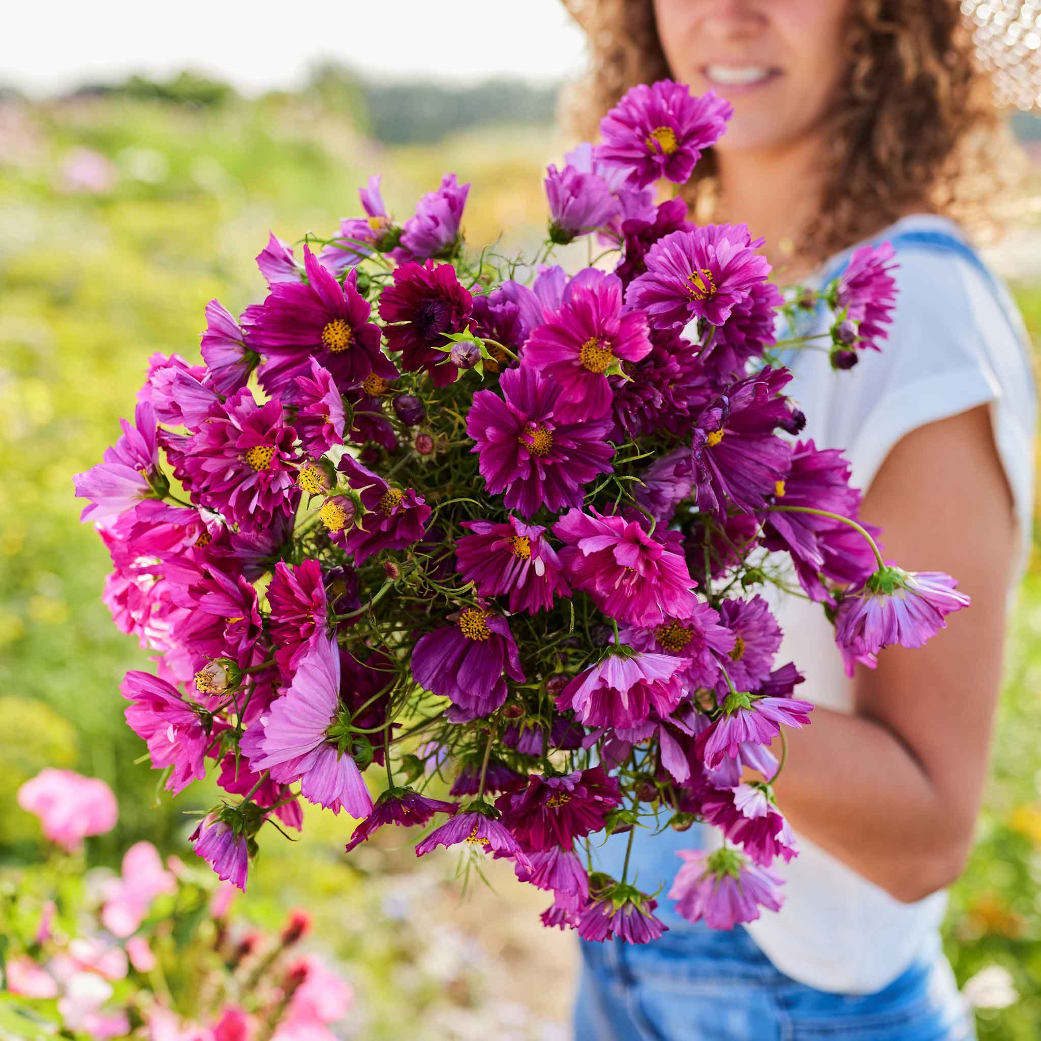 Woman holding a bouquet of double click cranberry cosmos flowers in a garden setting
