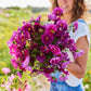 Woman holding a bouquet of double click cranberry cosmos flowers in a garden setting