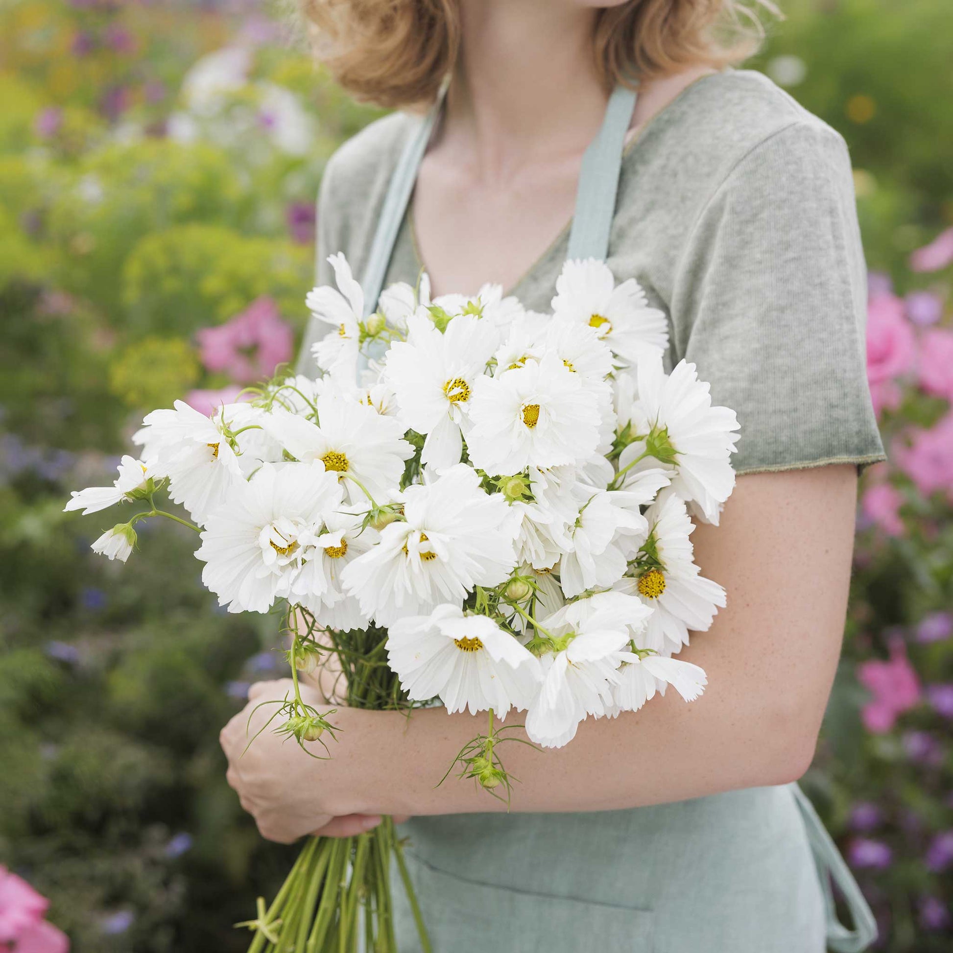 Person holding a bouquet of cosmos psyche white flowers in a garden setting