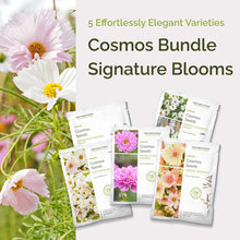 Graphic of cosmos signature bundle pack displaying a product image and contents of the bundle.