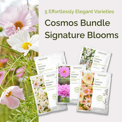 Graphic of cosmos signature bundle pack displaying a product image and contents of the bundle.