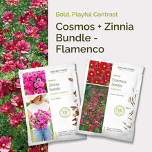 Graphic of cosmos and zinnia flamenco bundle pack displaying a product image and contents of the bundle.