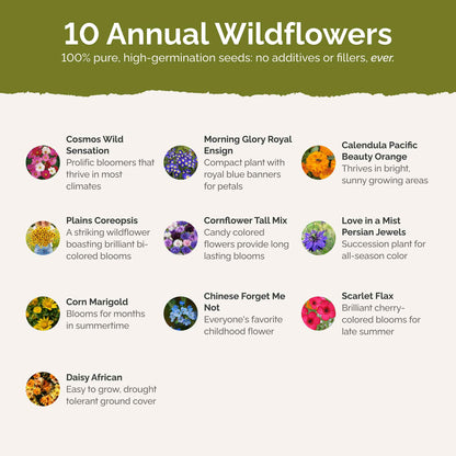 List of flower species and seeds included in the Wildflower Seed Mix.