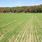 Farmland with rows of cover crop mixed and a forest in the background