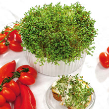 A close-up shot of vibrant green curled cress leaves, freshly harvested and ready for culinary use.