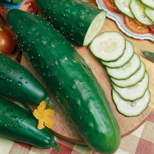 A green Ashley cucumber with a few small bumps is shown against a wooden and plaid background.