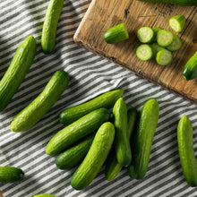 Mini me cucumbers on a striped cloth showing smooth skin, small size, and some slices showing the inside.