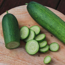 A close-up view of a vibrant green Straight 8 cucumber, showcasing its smooth skin and elongated shape.