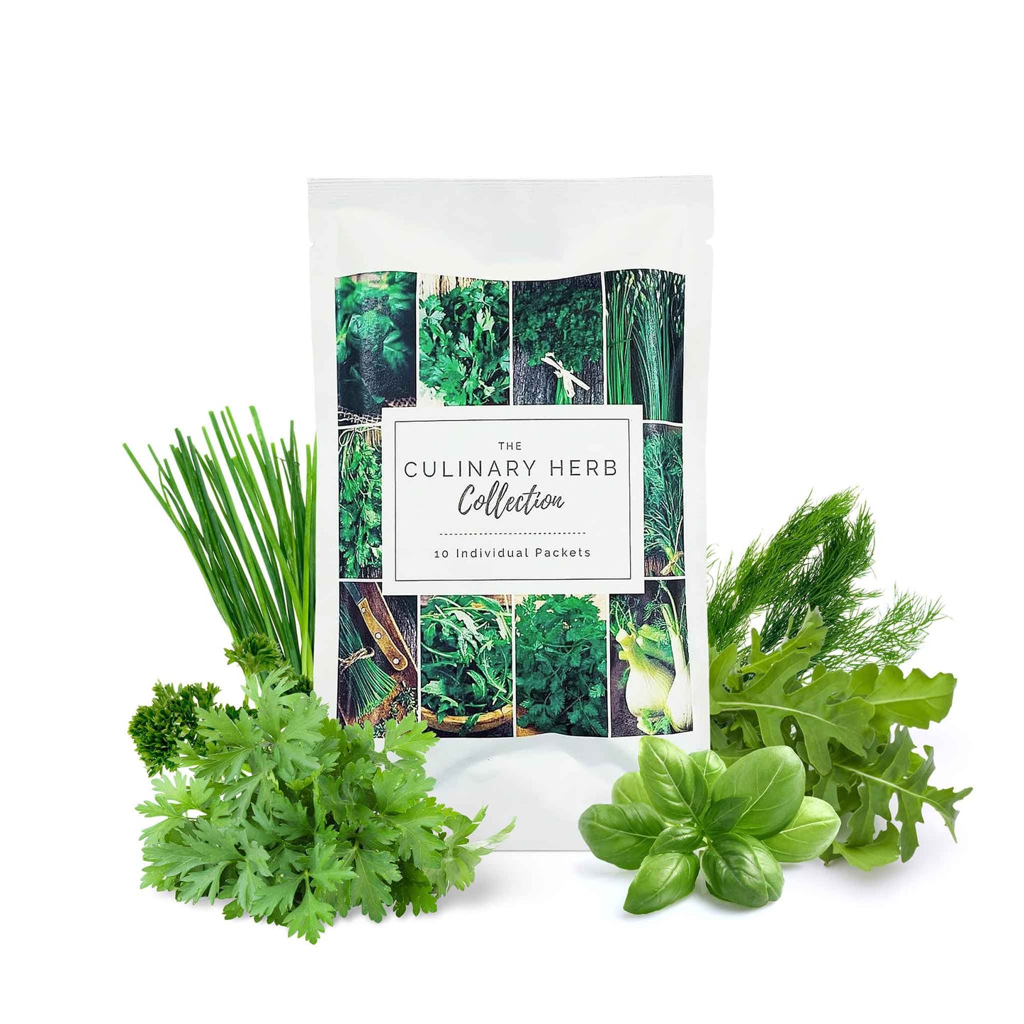 culinary herb collection