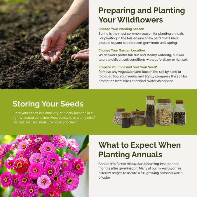 cupid's planting