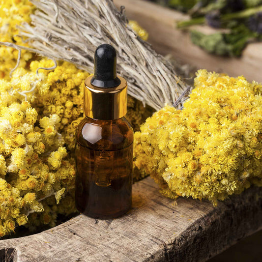 A close-up shot of stems from a Curry Plant showing its delicate yellow flowers.