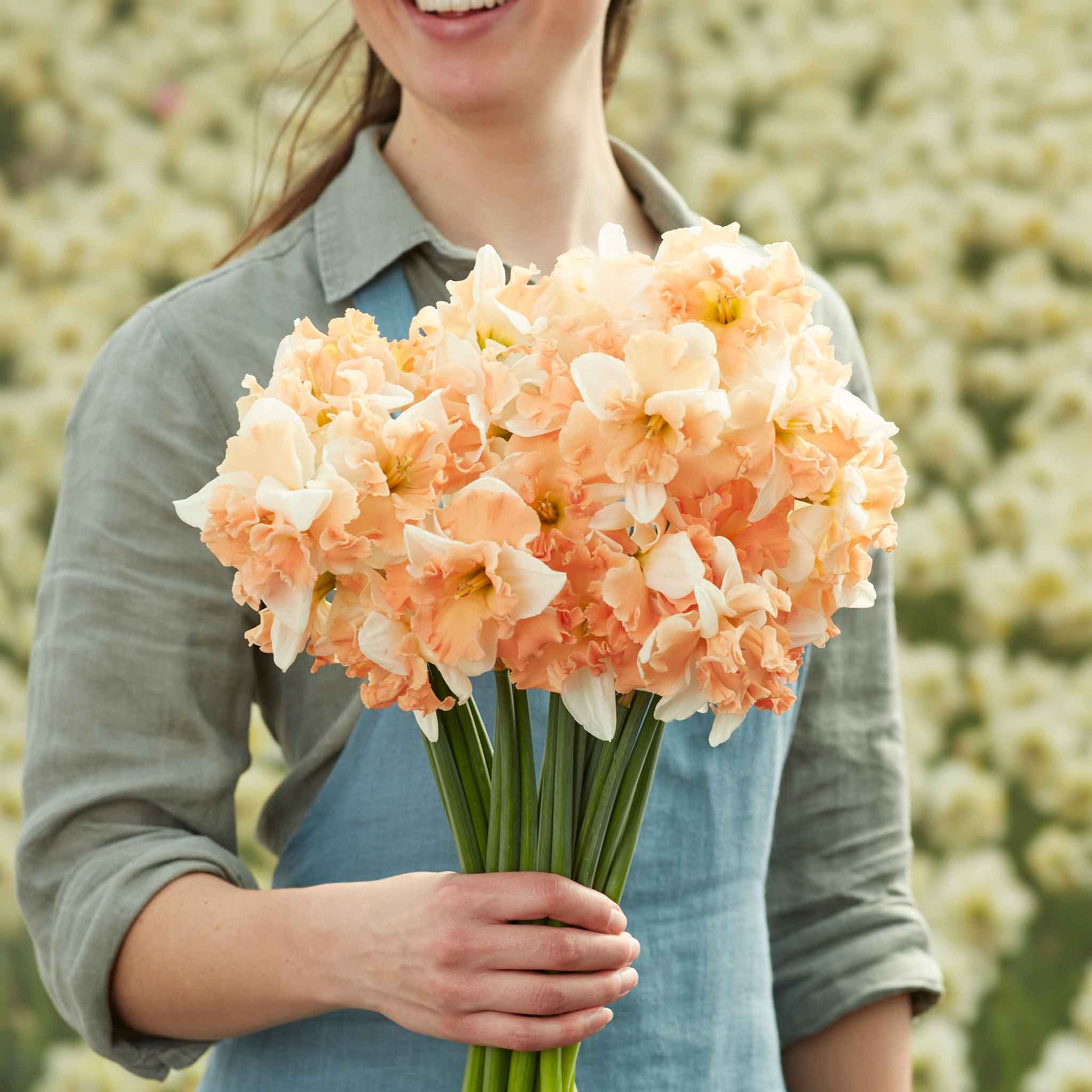 A person holding a bouquet of Apple Pie daffodil flowers in a garden setting.