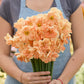 Person holding a bouquet of apricot whirl daffodil flowers with a blurred background