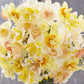 daffodil citrus mix