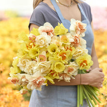 Person holding a bouquet of yellow and white citrus sorbet daffodil flowers with a blurred background