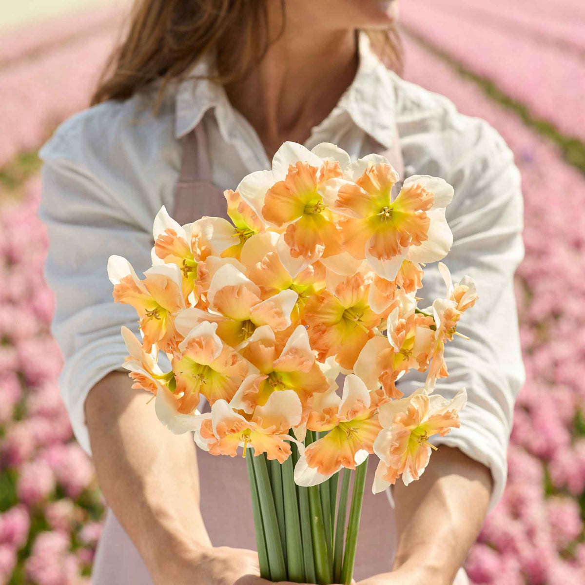 Flower Rit Daffodil Bulbs - Drama Queen | Fall Flower Bulbs | Eden Brothers