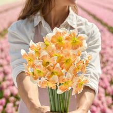 A person holding a bouquet of Drama Queen daffodil flowers in a garden setting.