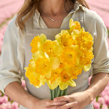 A person holding a bouquet of Ferris Wheel daffodil flowers in a garden setting.
