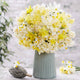 Daffodil Bulbs - Fragrant Mix