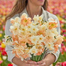 A person holding a bouquet of Golden Glos daffodil flowers in a garden setting.