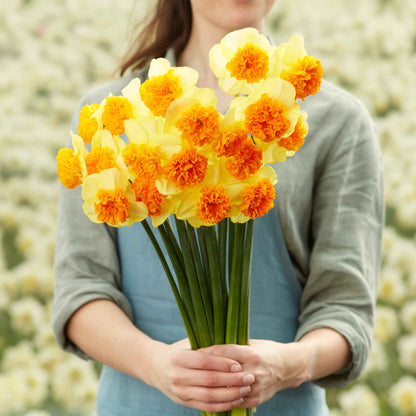 A close-up of a Modern Art Daffodil bouquet, showing its creamy white petals and yellow-orange cup.
