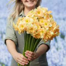 Person holding a bouquet of yellow and pink peachy dream daffodil flowers with a blurred floral background