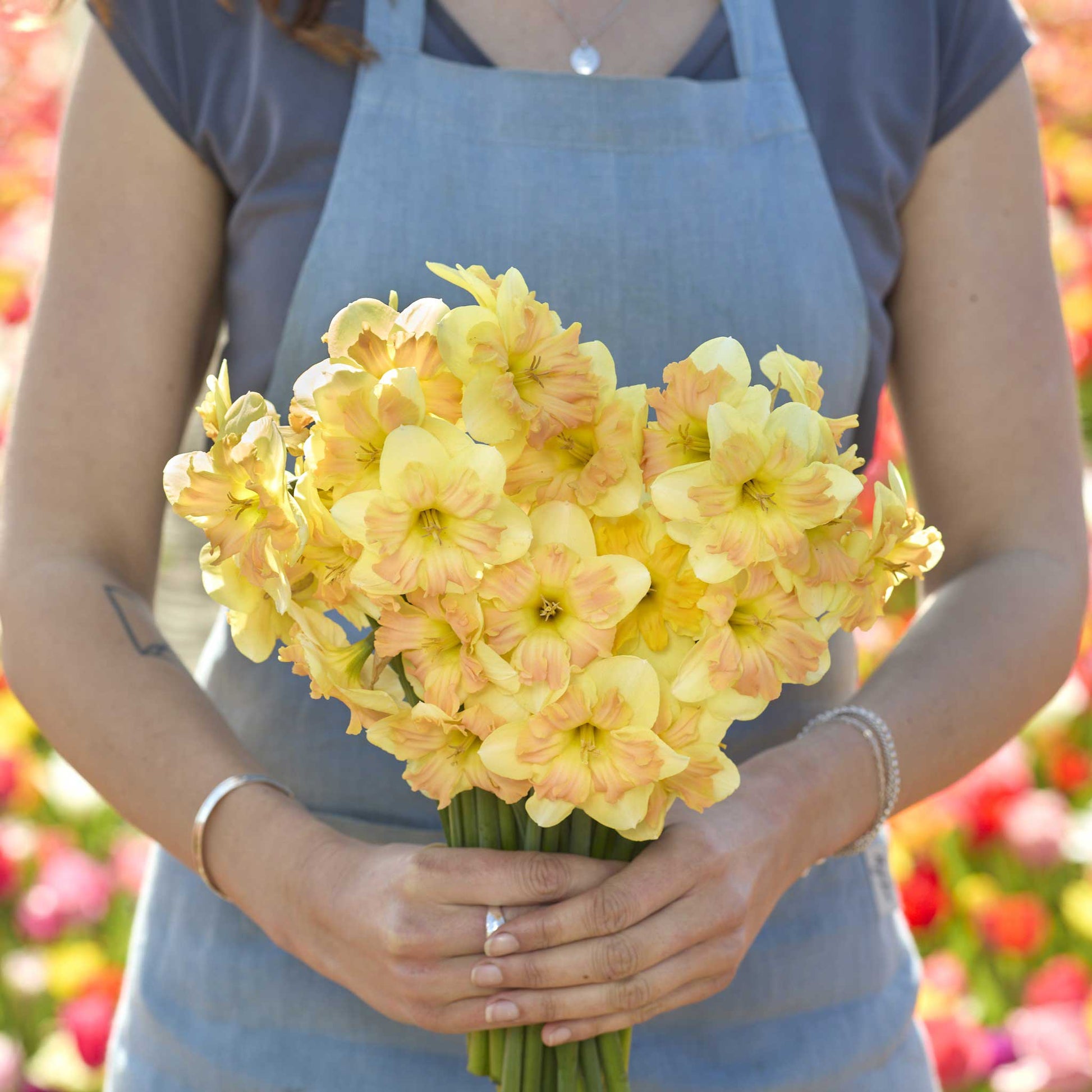 Person holding a bouquet of yellow and pink peachy dream daffodil flowers with a blurred floral background