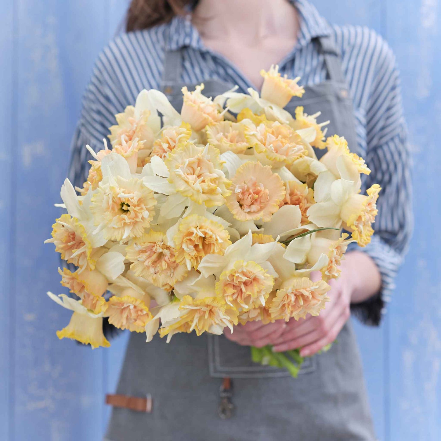 daffodil petit four