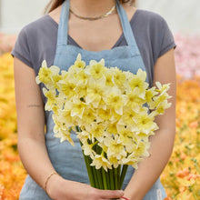 Person holding a bouquet of yellow prom dance daffodil flowers with a blurred floral background