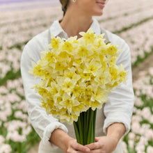 Person holding a bouquet of yellow prom dance daffodil flowers with a blurred floral field in the background