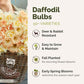 Daffodil bulbs with a basket of flowers and promotional text on a white background