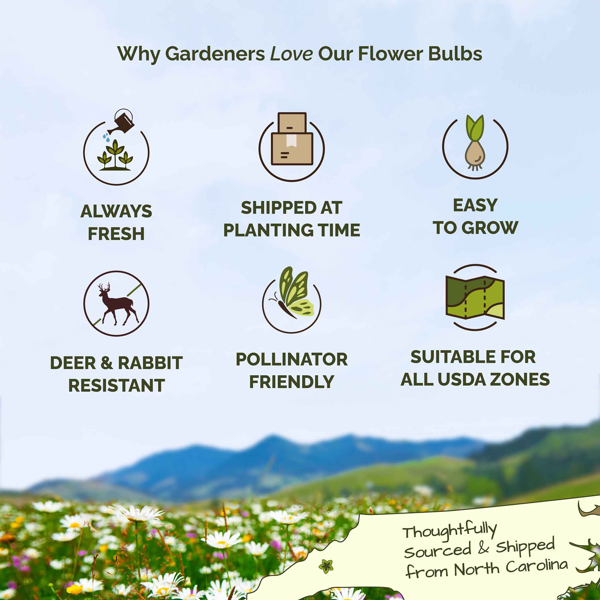 List of reasons why gardeners love flower bulbs with icons and text on a scenic background.