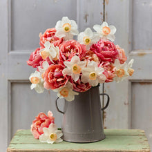 Bouquet of red and white spring cheer daffodil and tulip bundle in a metal vase.