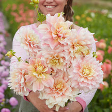 A person holding a bouquet of Break Out dahlia flowers in a garden setting.
