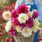 dahlia perfect harmony duo