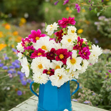 Bouquet of pink, white, and red flowers from the dahlia figaro violet and white bundle in a blue vase with a garden background