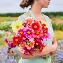 Person holding a bouquet of dahlia coltness mix flowers in a garden setting