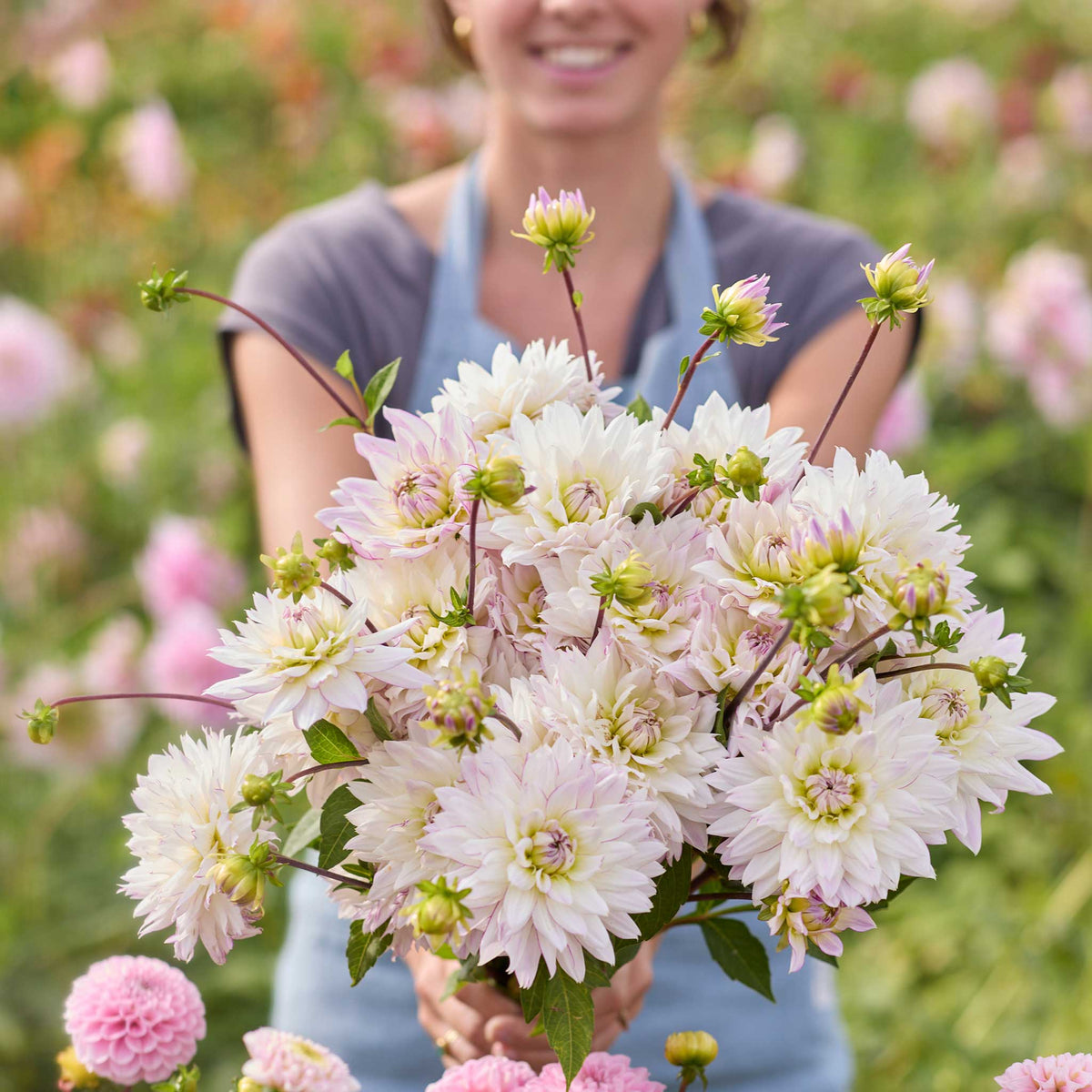Person holding a cream colored bouquet of crazy love dahlia flowers in a garden setting