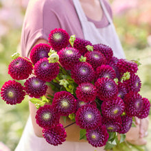 Person holding a redish purple bouquet of ivanetti dahlia flowers in a garden setting